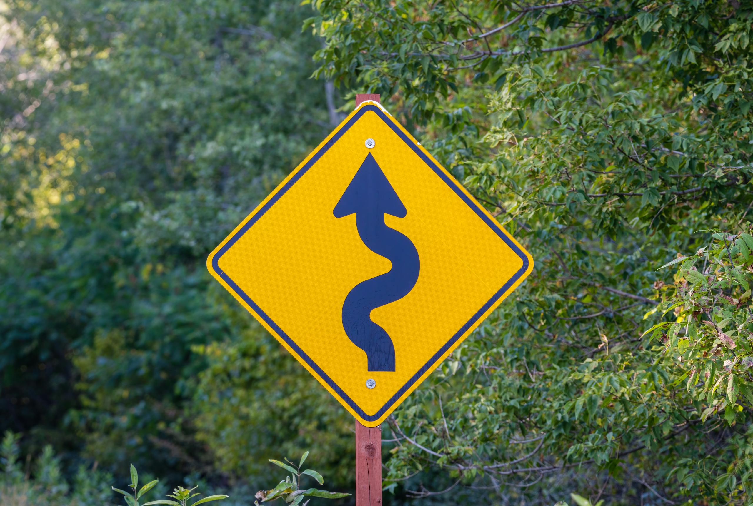 Winding road warning sign with yellow background, surrounded by lush greenery.